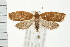  ( - PFC-2006-1451)  @13 [ ] CreativeCommons - Attribution (2009) Unspecified Centre for Biodiversity Genomics