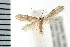  ( - PFC-2006-1499)  @12 [ ] CreativeCommons - Attribution (2009) Unspecified Centre for Biodiversity Genomics