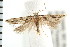  ( - PFC-2006-1508)  @13 [ ] CreativeCommons - Attribution (2009) Unspecified Centre for Biodiversity Genomics