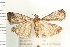  ( - PFC-2006-1535)  @14 [ ] CreativeCommons - Attribution (2009) Unspecified Centre for Biodiversity Genomics