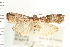  ( - PFC-2006-1537)  @14 [ ] CreativeCommons - Attribution (2009) Unspecified Centre for Biodiversity Genomics
