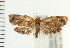  ( - PFC-2006-1565)  @14 [ ] CreativeCommons - Attribution (2009) Unspecified Centre for Biodiversity Genomics