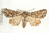  ( - PFC-2006-1643)  @15 [ ] CreativeCommons - Attribution (2009) Unspecified Centre for Biodiversity Genomics