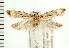  ( - PFC-2006-1804)  @14 [ ] CreativeCommons - Attribution (2009) Unspecified Centre for Biodiversity Genomics