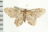  ( - PFC-2006-1835)  @13 [ ] CreativeCommons - Attribution (2009) Unspecified Centre for Biodiversity Genomics