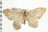  ( - PFC-2006-1836)  @13 [ ] CreativeCommons - Attribution (2009) Unspecified Centre for Biodiversity Genomics