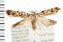  ( - PFC-2006-1887)  @14 [ ] CreativeCommons - Attribution (2009) Unspecified Centre for Biodiversity Genomics