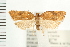 ( - PFC-2006-1967)  @13 [ ] CreativeCommons - Attribution (2009) Unspecified Centre for Biodiversity Genomics