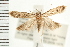  ( - PFC-2006-1975)  @14 [ ] CreativeCommons - Attribution (2009) Unspecified Centre for Biodiversity Genomics