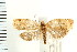  ( - PFC-2006-2039)  @14 [ ] CreativeCommons - Attribution (2009) Unspecified Centre for Biodiversity Genomics