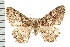  ( - PFC-2006-2061)  @15 [ ] CreativeCommons - Attribution (2009) Unspecified Centre for Biodiversity Genomics
