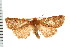  ( - PFC-2006-2091)  @14 [ ] CreativeCommons - Attribution (2009) Unspecified Centre for Biodiversity Genomics
