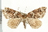  ( - PFC-2006-2227)  @14 [ ] CreativeCommons - Attribution (2009) Unspecified Centre for Biodiversity Genomics