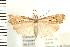  ( - PFC-2006-2275)  @13 [ ] CreativeCommons - Attribution (2009) Unspecified Centre for Biodiversity Genomics