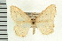  ( - PFC-2006-2380)  @14 [ ] CreativeCommons - Attribution (2009) Unspecified Centre for Biodiversity Genomics
