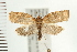  ( - PFC-2006-2447)  @14 [ ] CreativeCommons - Attribution (2009) Unspecified Centre for Biodiversity Genomics