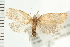  ( - PFC-2006-2475)  @14 [ ] CreativeCommons - Attribution (2009) Unspecified Centre for Biodiversity Genomics