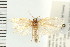  ( - PFC-2006-2479)  @13 [ ] CreativeCommons - Attribution (2009) Unspecified Centre for Biodiversity Genomics