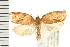  ( - PFC-2006-2492)  @14 [ ] CreativeCommons - Attribution (2009) Unspecified Centre for Biodiversity Genomics