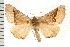  ( - PFC-2006-2594)  @14 [ ] CreativeCommons - Attribution (2009) Unspecified Centre for Biodiversity Genomics