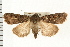  ( - PFC-2006-2614)  @14 [ ] CreativeCommons - Attribution (2009) Unspecified Centre for Biodiversity Genomics