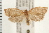  ( - PFC-2006-0412)  @14 [ ] CreativeCommons - Attribution (2008) Unspecified Centre for Biodiversity Genomics
