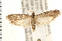  ( - PFC-2006-0425)  @14 [ ] CreativeCommons - Attribution (2008) Unspecified Centre for Biodiversity Genomics