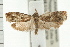  ( - PFC-2006-2647)  @13 [ ] CreativeCommons - Attribution (2009) Unspecified Centre for Biodiversity Genomics