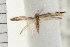  ( - PFC-2006-2651)  @13 [ ] CreativeCommons - Attribution (2009) Unspecified Centre for Biodiversity Genomics
