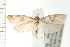  ( - PFC-2006-2662)  @13 [ ] CreativeCommons - Attribution (2009) Unspecified Centre for Biodiversity Genomics