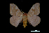 ( - MAL-00032)  @14 [ ] Unspecified (default): All Rights Reserved  Unspecified Unspecified