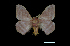  ( - MAL-00032)  @14 [ ] Unspecified (default): All Rights Reserved  Unspecified Unspecified