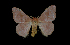  ( - MAL-00033)  @13 [ ] Unspecified (default): All Rights Reserved  Unspecified Unspecified