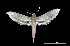  ( - MAL-00084)  @14 [ ] Unspecified (default): All Rights Reserved  Unspecified Unspecified