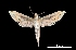  ( - MAL-00084)  @14 [ ] Unspecified (default): All Rights Reserved  Unspecified Unspecified