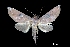  ( - MAL-00098)  @14 [ ] Unspecified (default): All Rights Reserved  Unspecified Unspecified