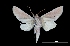  ( - MAL-00098)  @13 [ ] Unspecified (default): All Rights Reserved  Unspecified Unspecified