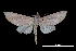  ( - MAL-00099)  @13 [ ] Unspecified (default): All Rights Reserved  Unspecified Unspecified