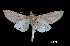  ( - MAL-00099)  @13 [ ] Unspecified (default): All Rights Reserved  Unspecified Unspecified