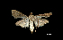  ( - MAL-00136)  @12 [ ] Unspecified (default): All Rights Reserved  Unspecified Unspecified