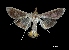  ( - MAL-00140)  @13 [ ] Unspecified (default): All Rights Reserved  Unspecified Unspecified