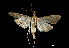  ( - MAL-00155)  @13 [ ] Unspecified (default): All Rights Reserved  Unspecified Unspecified