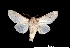  ( - MAL-00186)  @14 [ ] Unspecified (default): All Rights Reserved  Unspecified Unspecified