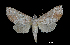  ( - MAL-00187)  @14 [ ] Unspecified (default): All Rights Reserved  Unspecified Unspecified