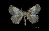  ( - MAL-00193)  @13 [ ] Unspecified (default): All Rights Reserved  Unspecified Unspecified