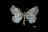  ( - MAL-00193)  @13 [ ] Unspecified (default): All Rights Reserved  Unspecified Unspecified