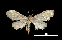  ( - MAL-00197)  @12 [ ] Unspecified (default): All Rights Reserved  Unspecified Unspecified
