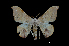  ( - MAL-00199)  @14 [ ] Unspecified (default): All Rights Reserved  Unspecified Unspecified