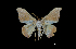  ( - MAL-00199)  @12 [ ] Unspecified (default): All Rights Reserved  Unspecified Unspecified