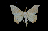  ( - MAL-00200)  @13 [ ] Unspecified (default): All Rights Reserved  Unspecified Unspecified